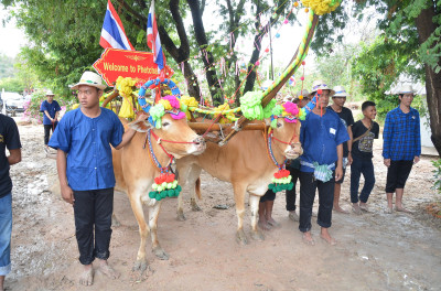 โครงการสวนสมเด็จพระศรีนครินทราบรมราชชนนี ต.สามพระยา อ.ชะอำ ... รูปภาพ 6