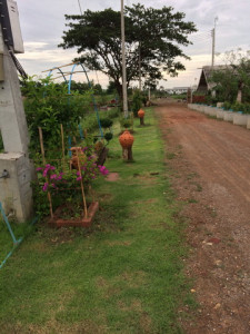 โครงการพัฒนาที่ดินมูลนิธิชัยพัฒนา (นาบัว) ต.พงสวาย อ.เมือง ... รูปภาพ 10