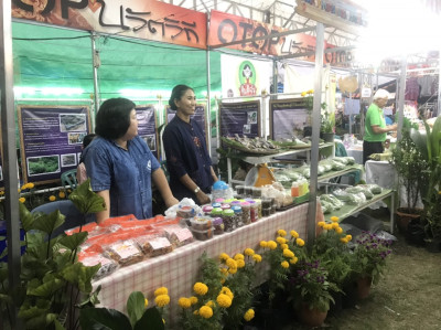 โครงการศูนย์ชัยพัฒนาการเกษตรสิรินธร ต.เนินมะกอก อ.บางมูลนาก ... รูปภาพ 3