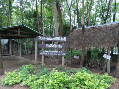 โครงการพัฒนาพื้นที่การเกษตรแบบผสมผสานบ้านติ้ว จ.อุดรธานี รูปภาพ 8