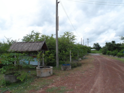 โครงการสาธิตการพัฒนาพื้นที่บ้านยามกาน้อย จ.อุดรธานี รูปภาพ 6