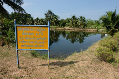 โครงการสาธิตทฤษฎีใหม่อันเนื่องมาจากพระราชดำริ (ปักธงชัย) ... รูปภาพ 4