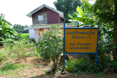 โครงการสาธิตทฤษฎีใหม่อันเนื่องมาจากพระราชดำริ (ปักธงชัย) ... รูปภาพ 11