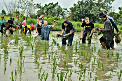 โครงการโรงเรียนกาสรกสิวิทย์ ต.สระแก้ว อ.เมืองสระแก้ว ... รูปภาพ 6