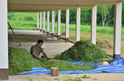 โครงการพัฒนาที่ดินมูลนิธิชัยพัฒนาบ้านดงพระพร ... รูปภาพ 3