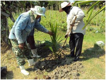 ศูนย์สาธิตพืชไร่และพืชสวน อ.บ้านแหลม จ.เพชรบุรี -  โครงการศูนย์สาธิตพืชไร่และพืชสวนอันเนื่องมาจากพระราชดำริ ต.ทาแร้ง  อ.บ้านแหลม จ.เพชรบุรี (19 มีนาคม 2555)