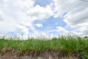 wastewater treatment