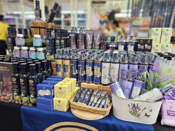 525937458 1198222292348228 9212273333959102237 n