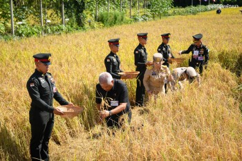 582274566 1292293079607815 3580075455248469889 n