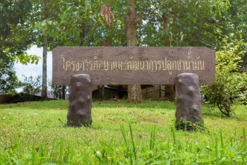 508381463 1161113992725725 873778890594059312 n