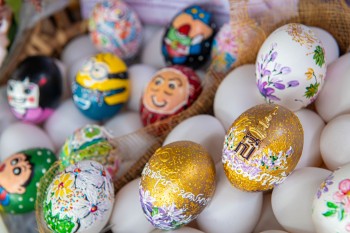 521291250 1190599106443880 877093980988614915 n