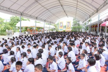 516464212 1178342874336170 5624418453460849893 n