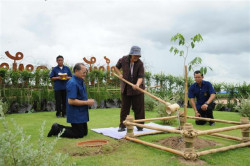 สมเด็จพระเทพรัตนราชสุดาฯ ทรงเปิดศูนย์พัฒนาพันธุ์พืชจักรพันธ์เพ็ญศิริ อ.แม่สาย จ.เชียงราย